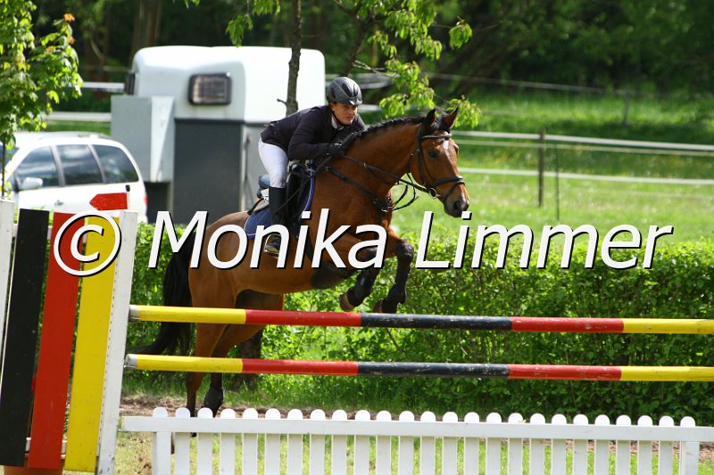 005M7116_Condor_M Springen x.JPG